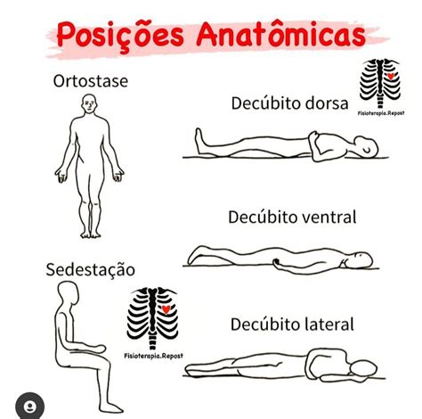 posição anatomica - posição de 4